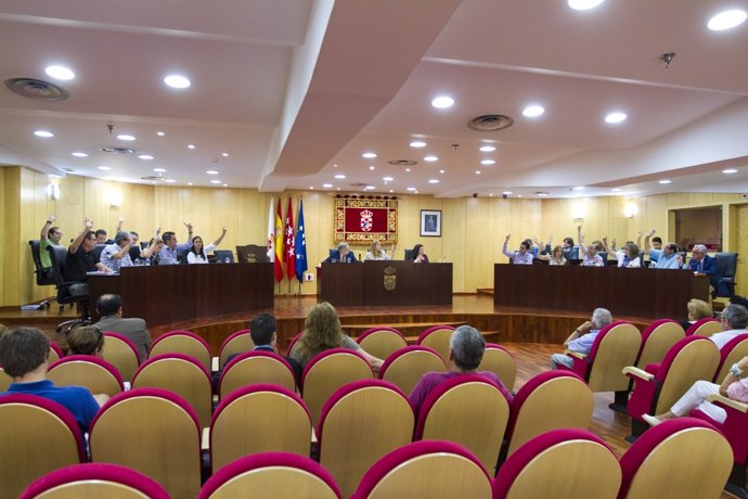 El Pleno del Ayuntamiento de Pinto