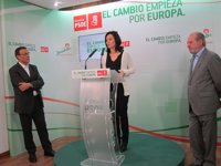 PSOE-A: Arias Cañete es "un mal candidato para Andalucía"