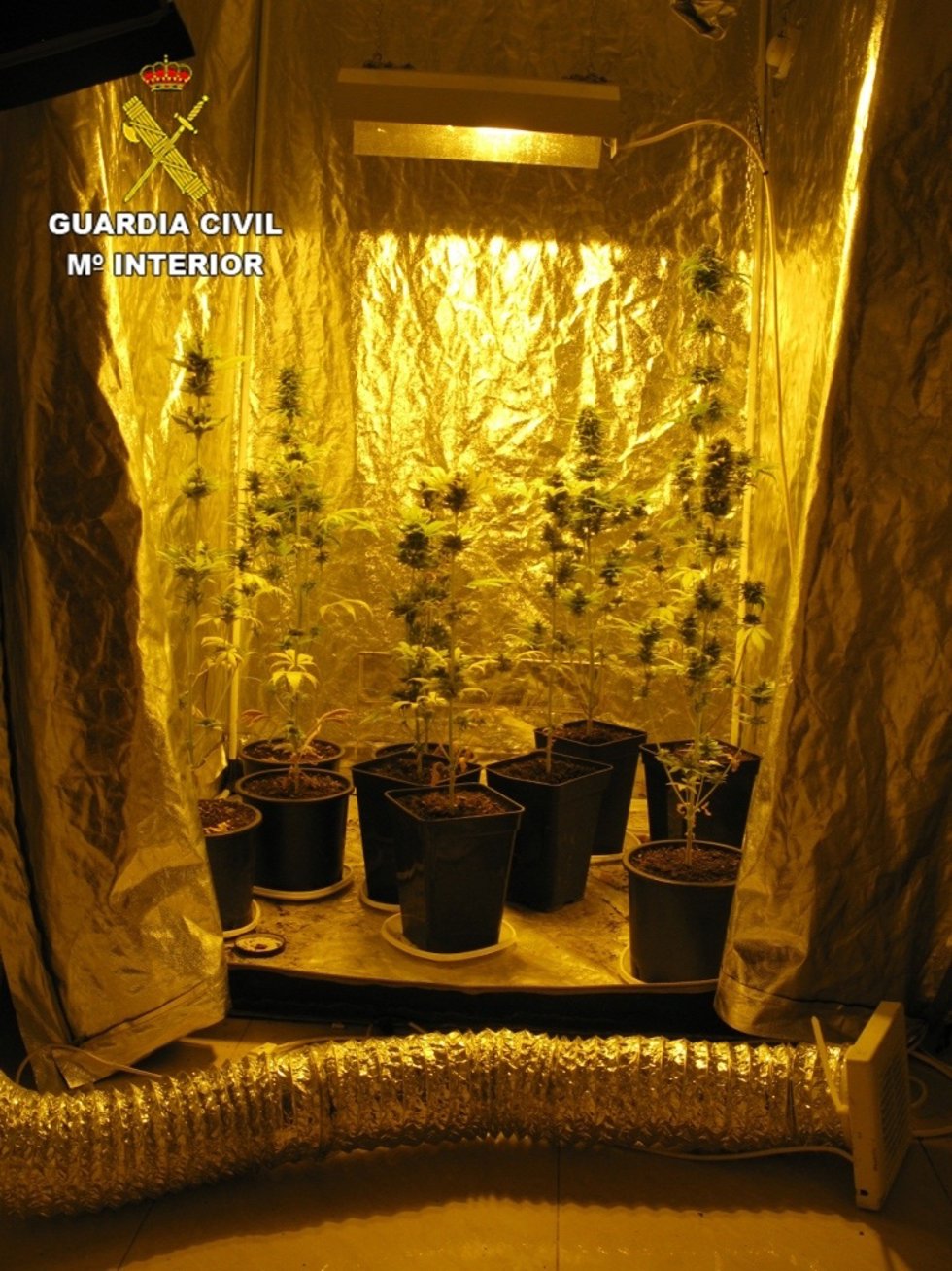 Laboratorio clandestino desmantelado por la Guardia Civil