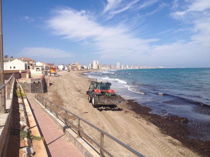 Limpieza de una playa de Cartagena