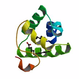 Imagen de la molécula LTP del melocotón, Pru p 3