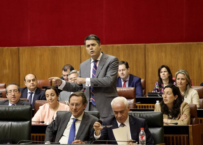 El portavoz del PP-A en el parlamento, Carlos Rojas, en la sesión de control