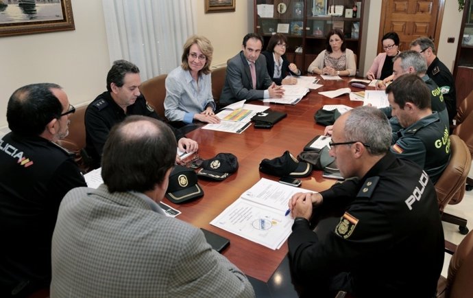 Junta local de seguridad benalmádena