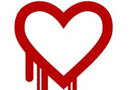 Bug, heartbleed, fallo de seguridad, internet, web