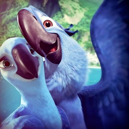 Selfie rio 2