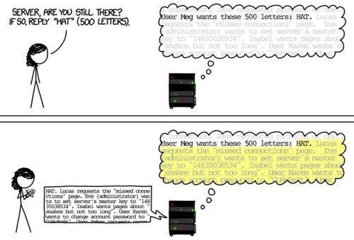 Un cómic explica de forma sencilla cómo funciona heartbleed