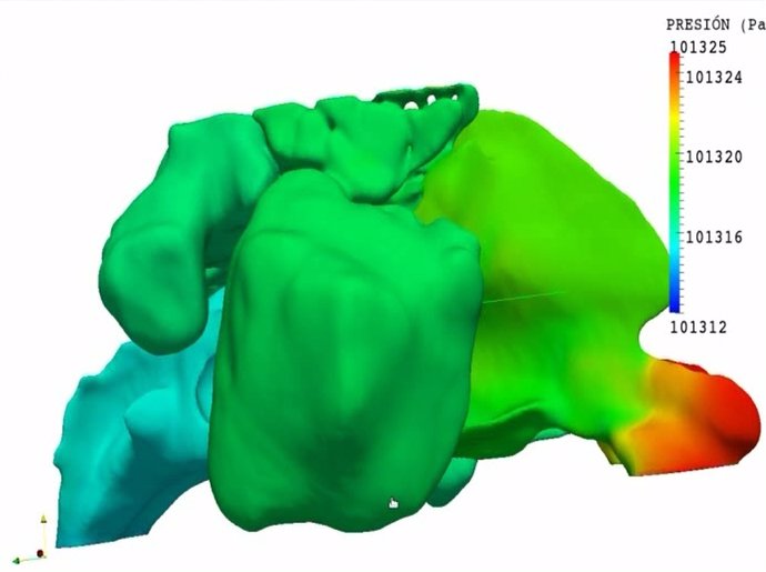 Imágenes en 3D de la cavidad nasal