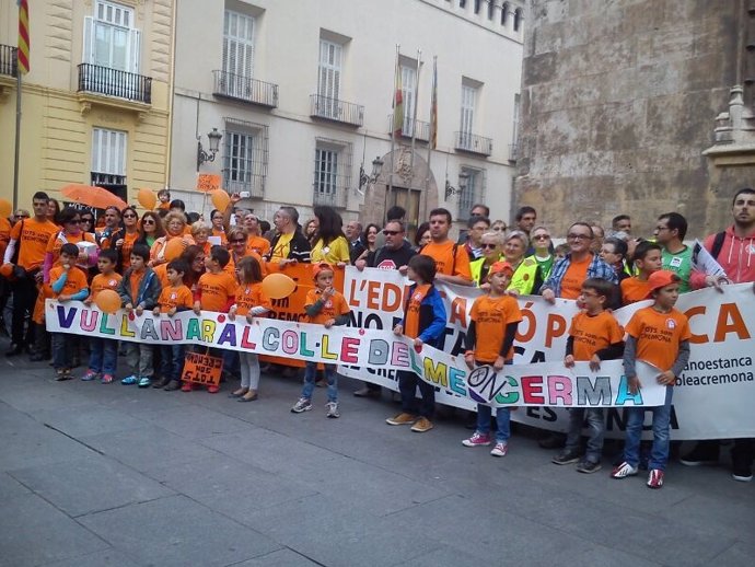 Manifestación por una educación pública y en valenciano