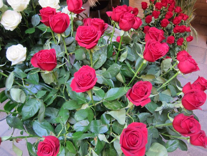 Rosas de Sant Jordi (Archivo)