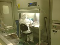 Andalucía avanza en el desarrollo de una terapia celular para tratar lesiones crónicas medulares