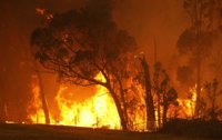 7 incendios devastadores de la historia reciente
