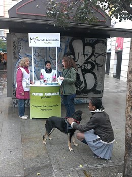 El Partido Animalista (PACMA) recoge firmas para las europeas