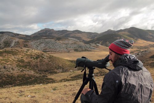 Una persona observa fauna en la Cordillera Cantábrica 