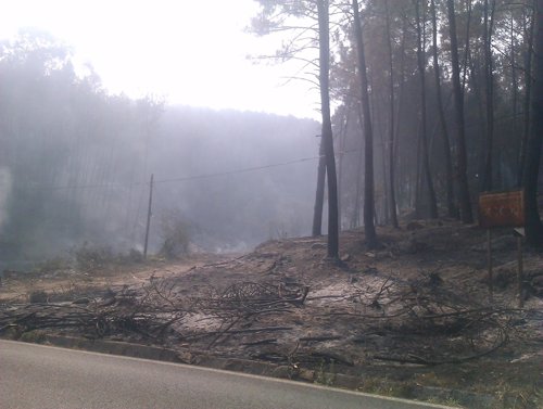 Incendio forestal en Oia