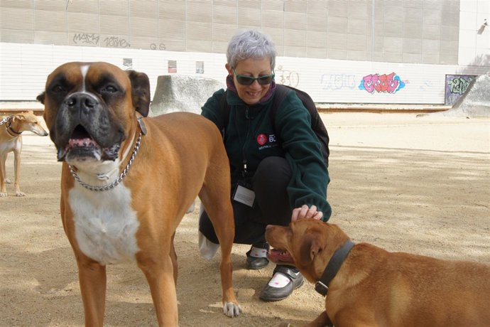 Una informadora del Ayuntamiento con varios perros