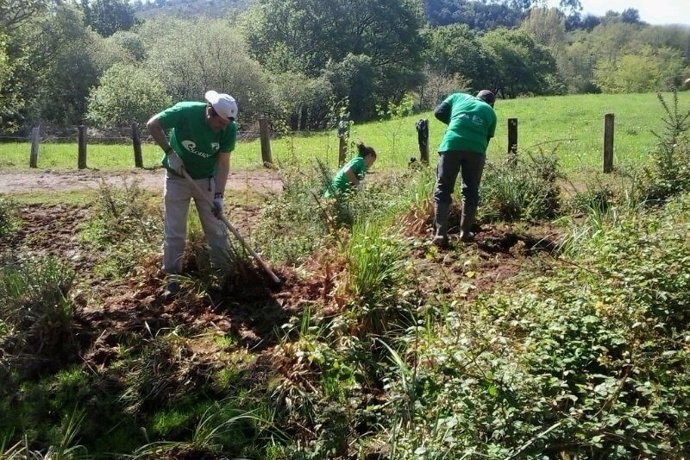 Programa voluntariado ambiental  Provoca