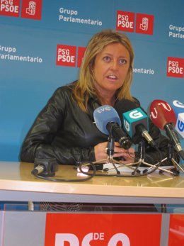La diputada del PSdeG Beatriz Sestayo