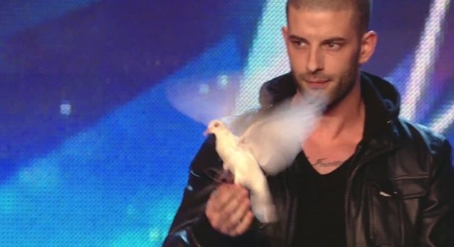 Darcy Oake, el ilusionista de las palomas