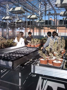 Invernadero del Citius