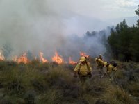 Infoca da por estabilizados los incendios de Lucainena y de Partaloa
