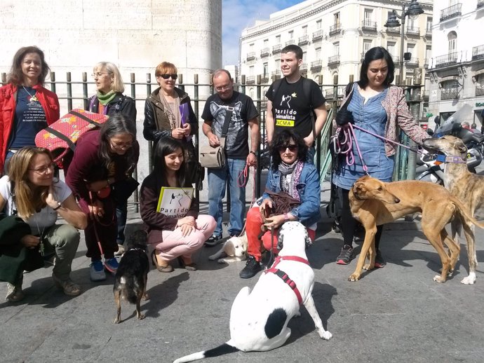 Representantes del PACMA con perros en la Puerta del Sol