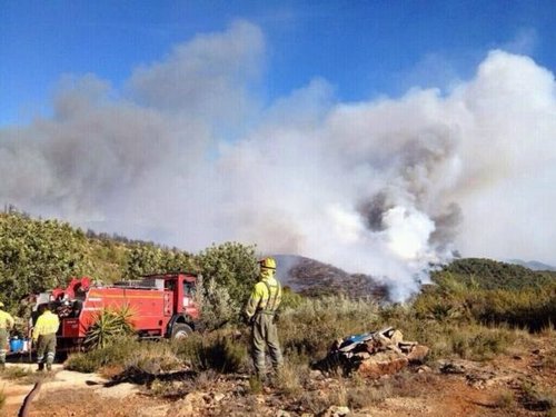 Imagen del incendio forestal de Torrent 