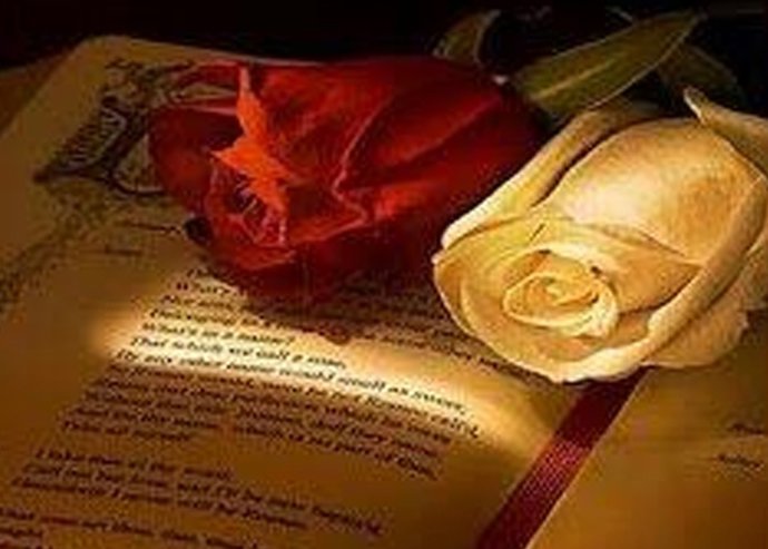Hoy, el día de Sant Jordi: los libros y las rosas toman las calles de Cataluña