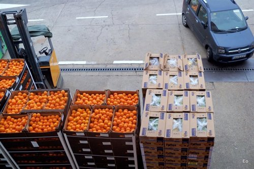 Reparto de naranjas y frutas