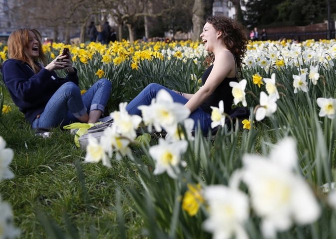 Women laugh amid the daffodils in Green Park in central London March 15, 2014. R