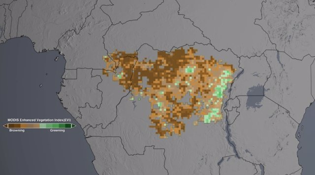 Sequía en la selva tropical amazónica