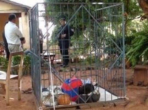 Joven con discapacidad era encerrado en una jaula en Paraguay