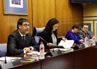 La Cámara de Cuentas investigará las ayudas a la Faffe entre 2003 y 2011