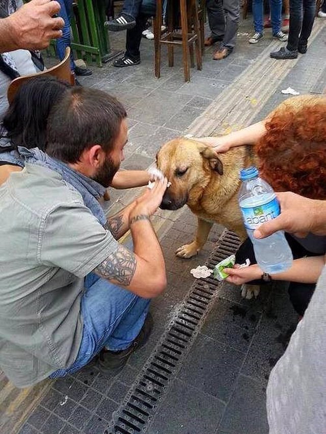 ejemplos de buenas acciones