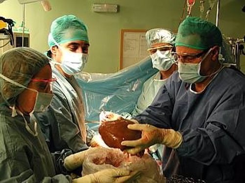 Más de un centenar de trasplantes se realizaron en Aragón en 2013