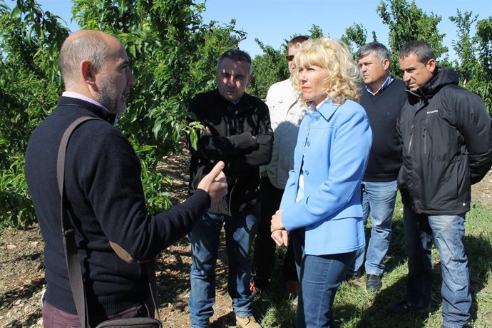 La subdelegada del Gobierno en Lleida, Inma Manso 