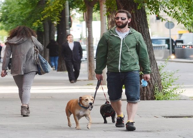 Dani Rovira, el actor del momento, se vuelca en sus mascotas