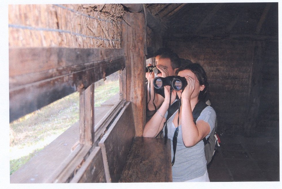 Observatorio De Aves