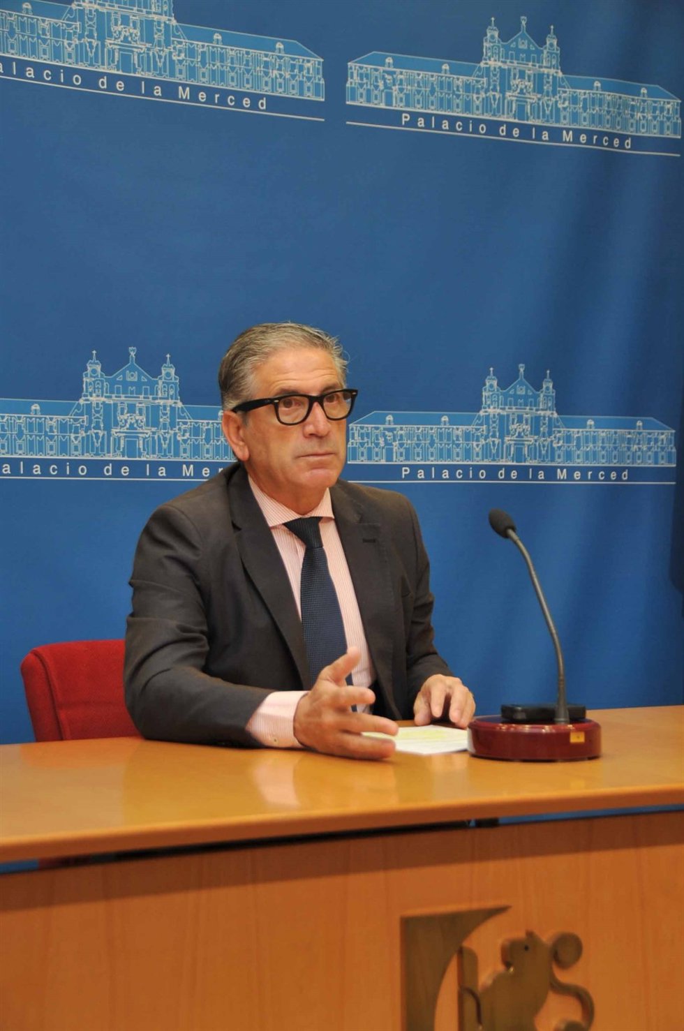 El delegado de Cultura de la Diputación, Antonio Pineda