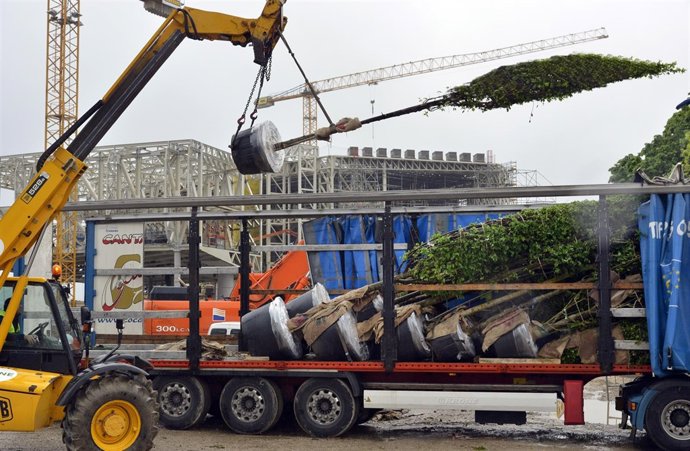 Segunda fase de plantación de arbolado en los Jardines de Pereda