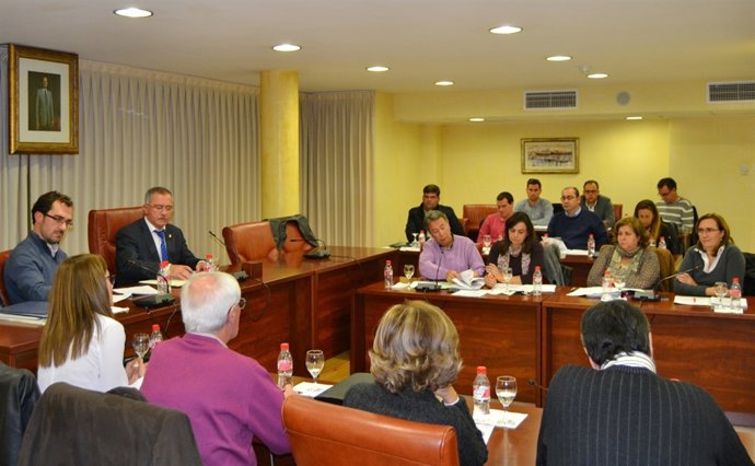 Imagen del pleno municipal