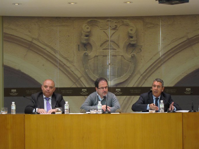 Burgos interviene en la Comisión del Parlamento regional