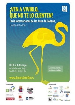 Cartel de las jornadas.