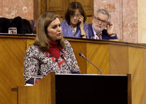 La consejera de Medio Ambiente, María Jesús Serrano, en el Pleno del Parlamento