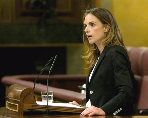 La diputada socialista Susana Sumelzo en el Congreso