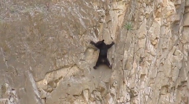 Solo ante el peligro