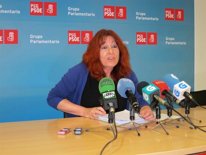 La diputada del PSdeG Carmen Acuña en rueda de prensa