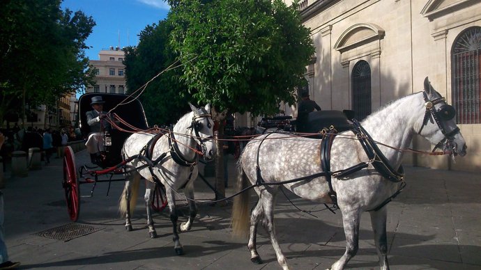 Desfile de carruajes de caballo ante el Ayuntamiento.