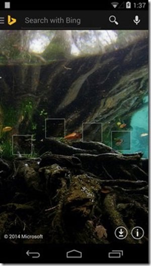 Bing para Android