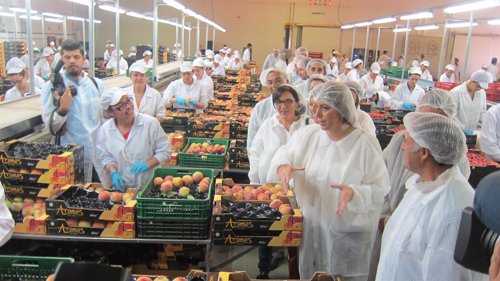 La presidenta de la Junta de Andalucía, Susana Díaz, en Agro Martín en Lepe.