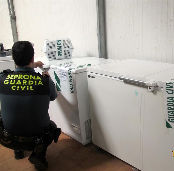Guardia Civil interviene 200 kilos de productos pesqueros ilegales